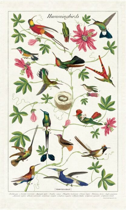 Cavallini & Co Vintage Tea Towel: Hummingbirds - Image 2