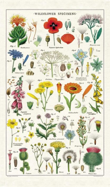 Cavallini & Co Vintage Tea Towel: Wildflowers - Image 2