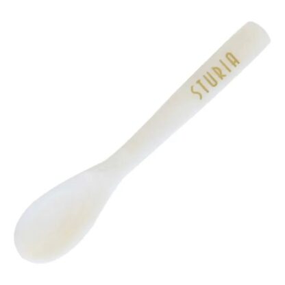 Sturia Caviar Spoon, Shell, 10cm - Set of 4 - Image 2